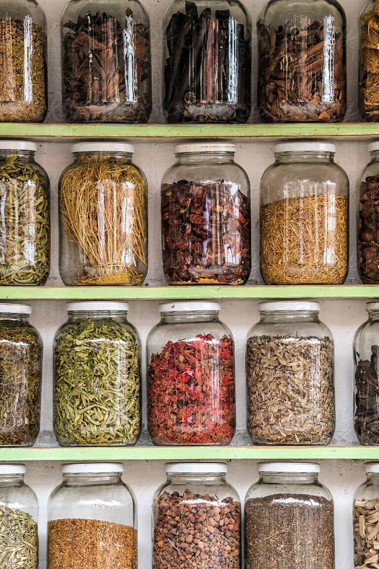Herbs for Holistic Health